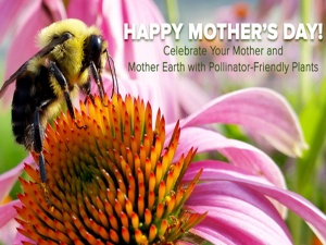 Pollinate for Mom