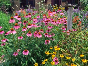 Native Plant Sale