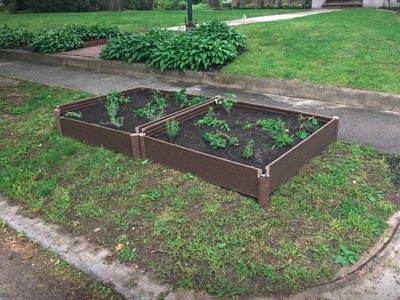 Curbside gardens growing