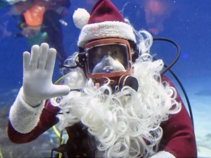 Scuba Santa