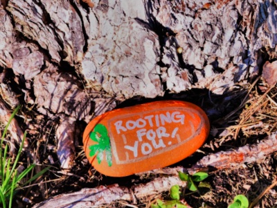 Kindness Rocks