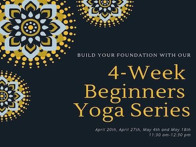 Beginner Vinyasa classes