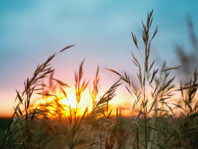 Lammas Circle Gathering