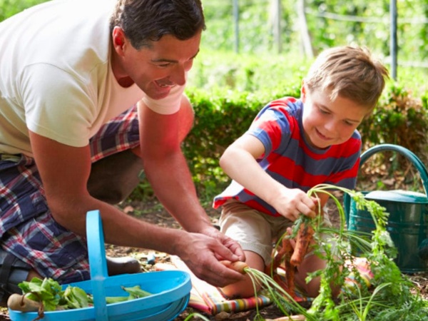 Home Gardeners Workshops