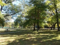 Wellwood Park Clean-Up