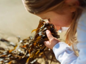 Girls and Seaweed