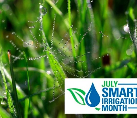 Irrigation Tips