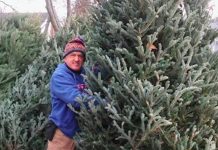 No Trees This Year