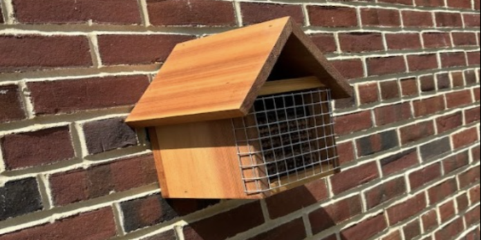 bee-habitat