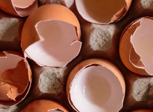 Eggshells In Your Garden