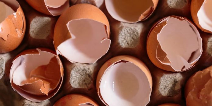 eggshells
