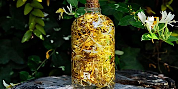 slo-drink-forage