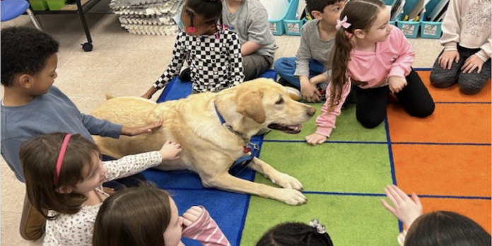 therapy-dog