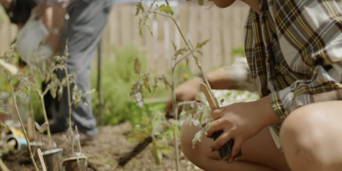 together-we-grow