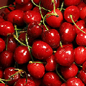 Cherries