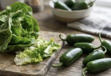 Salmonella and Cyclosporus Outbreaks