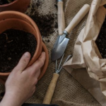 Ask A Certified Gardener