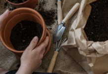 Ask A Certified Gardener