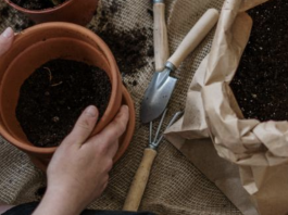 Ask A Certified Gardener