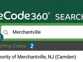 Curious About Town Code